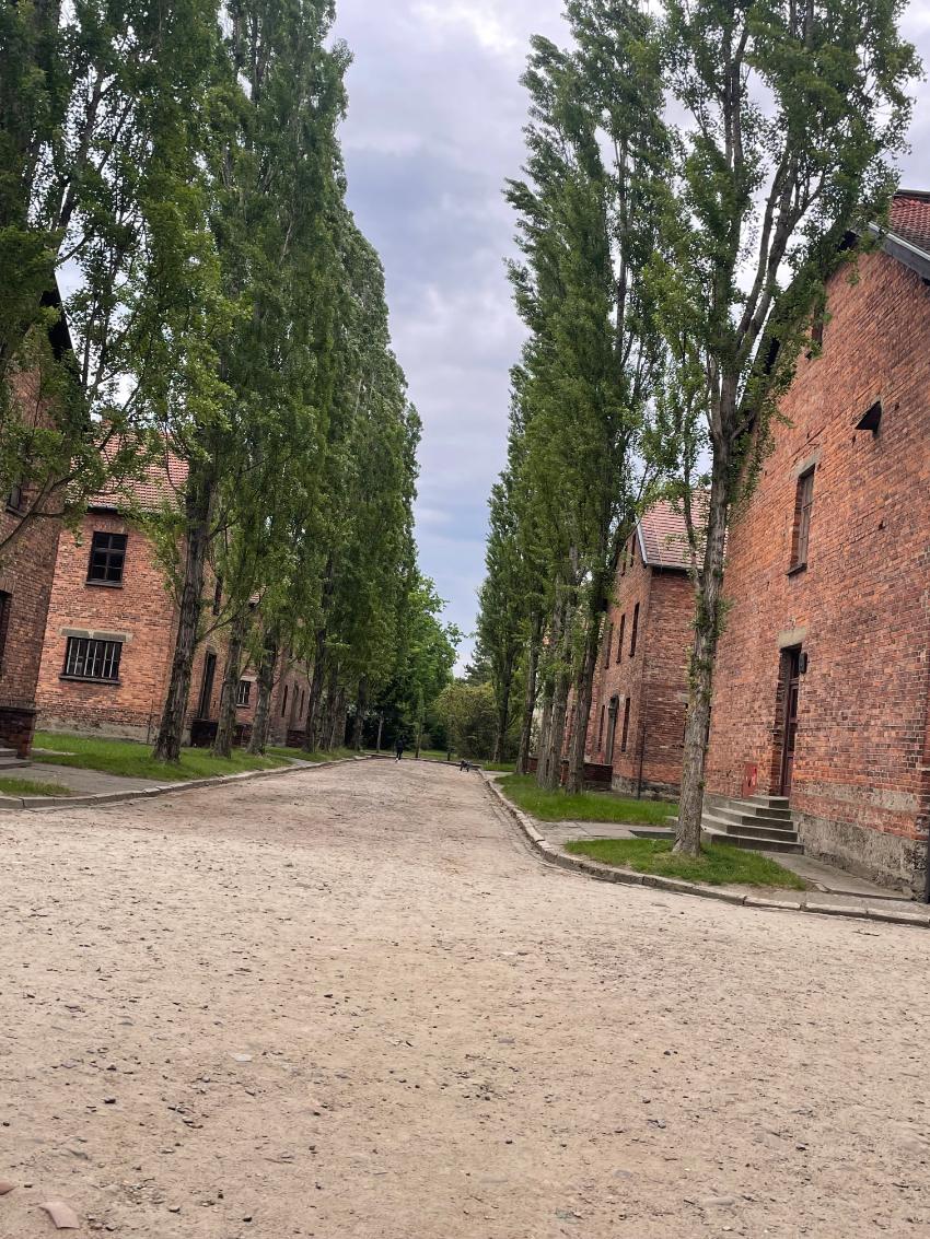 Gata mellan barackerna i Auschwitz